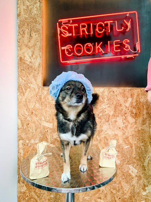 strictly cookies mascot