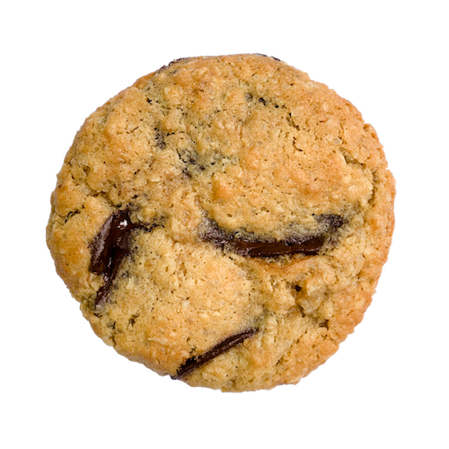 a round golden cookie with melty dark chocolate
